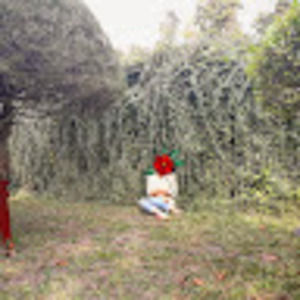 Meet your Posher, Noushin jahan